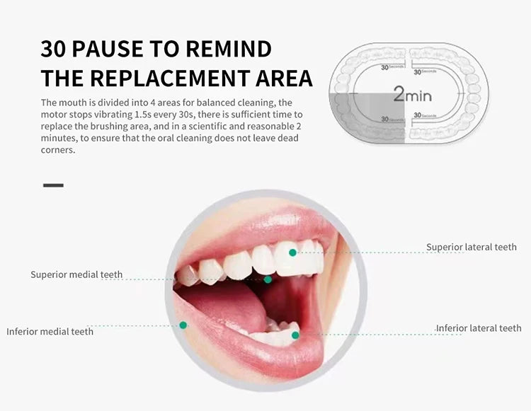 Sonic electric toothbrush for adults with DuPont brush head, waterproof IPX7, USB rechargeable, and six cleaning modes.