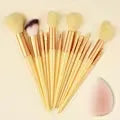 Professional 13-piece makeup brush set with soft fluffy brushes for foundation, eyeshadow, blush, and powder application.