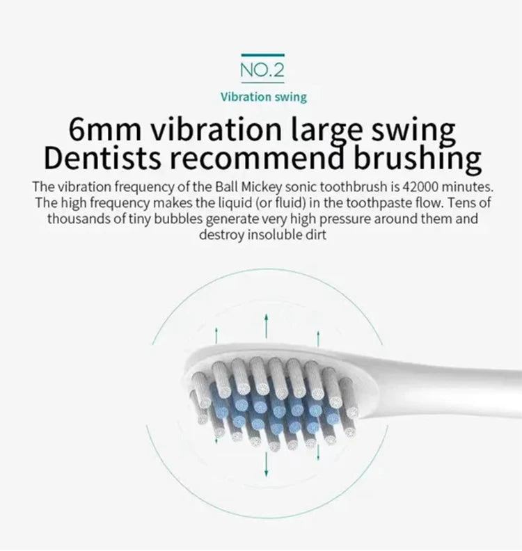 Sonic electric toothbrush for adults with DuPont brush head, waterproof IPX7, USB rechargeable, 6 cleaning modes, high-frequency cleaning.